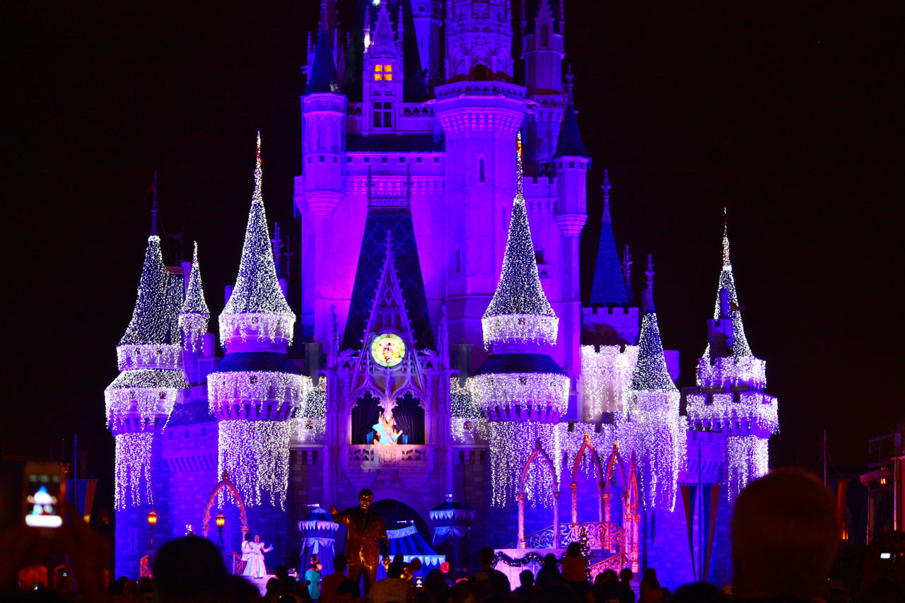 Holiday DLights Tour Review Blog