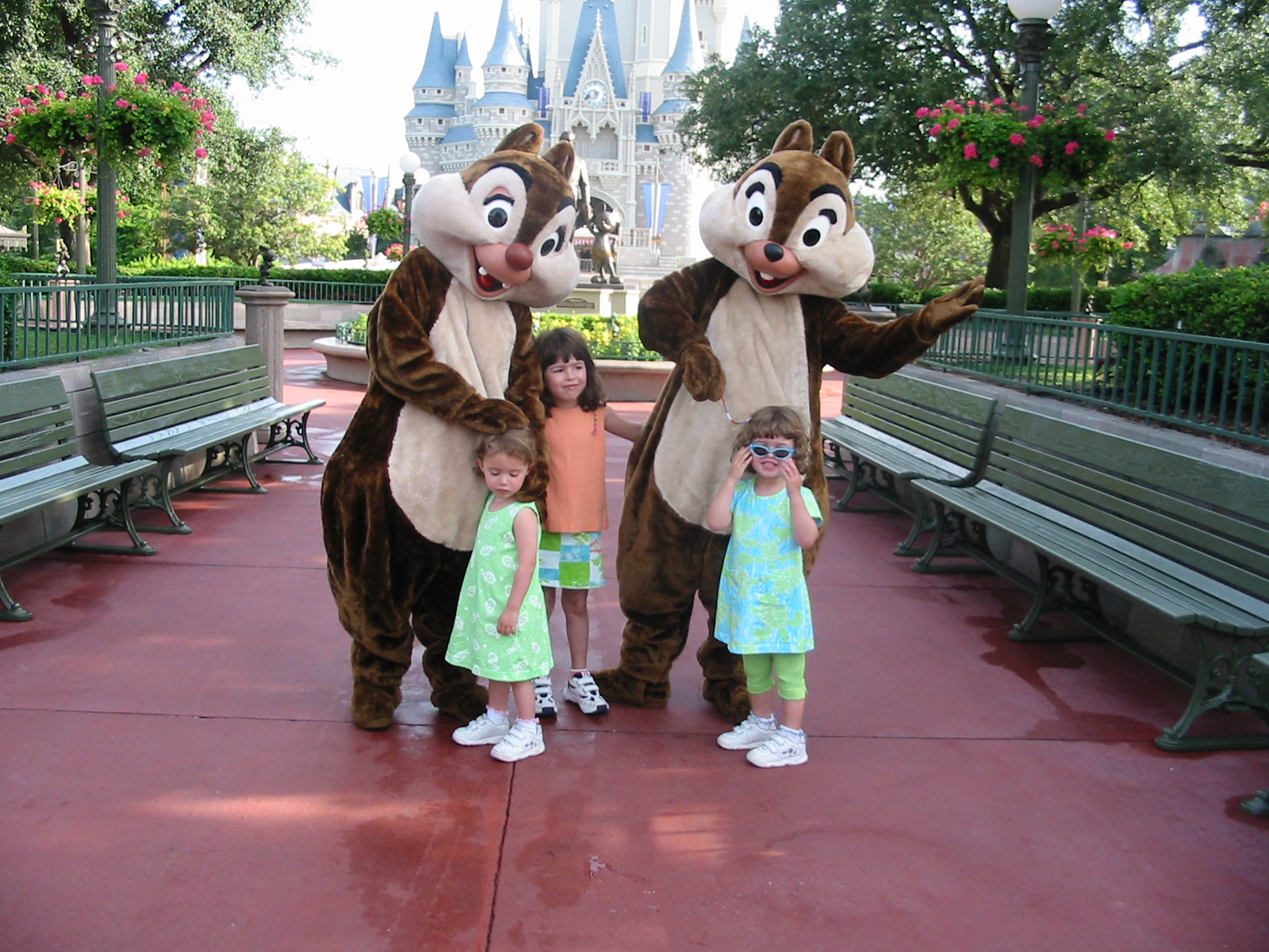 Hair Wraps at Walt Disney World Blog