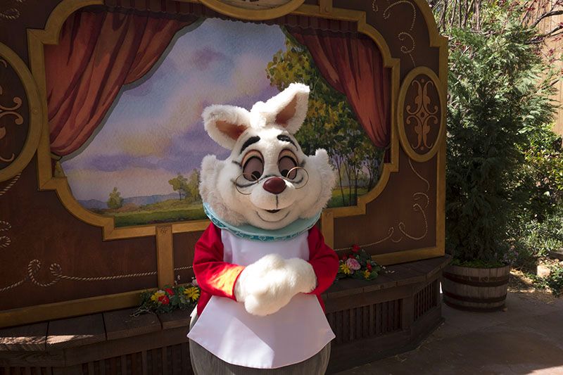 Photos: Disneyland’s Springtime Roundup Brings Easter Bunny and More to ...