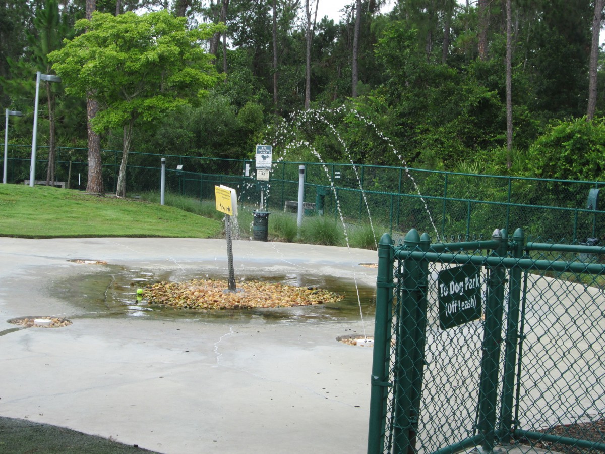 A Best Friends Pet Care Resort Primer Blog