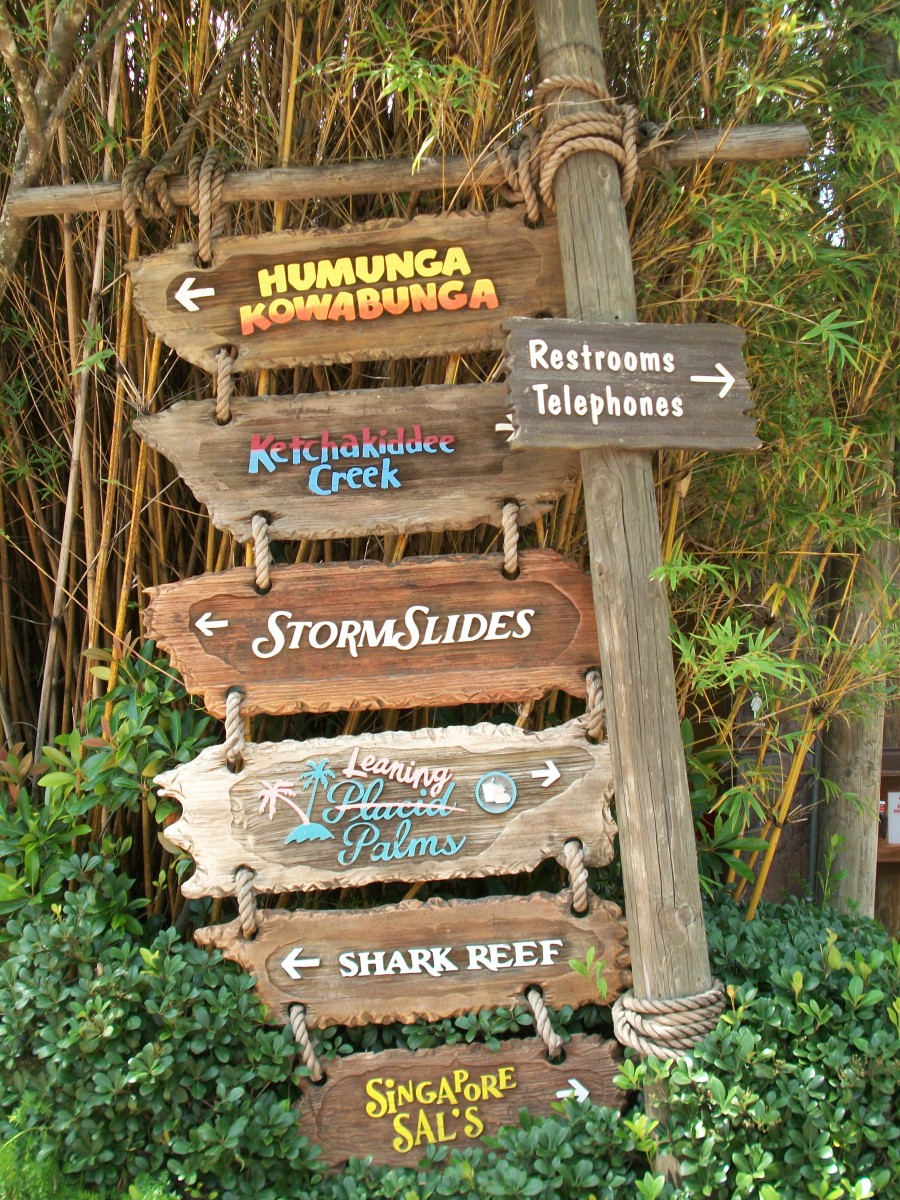 Disney Savvy Tips for Typhoon Lagoon Blog