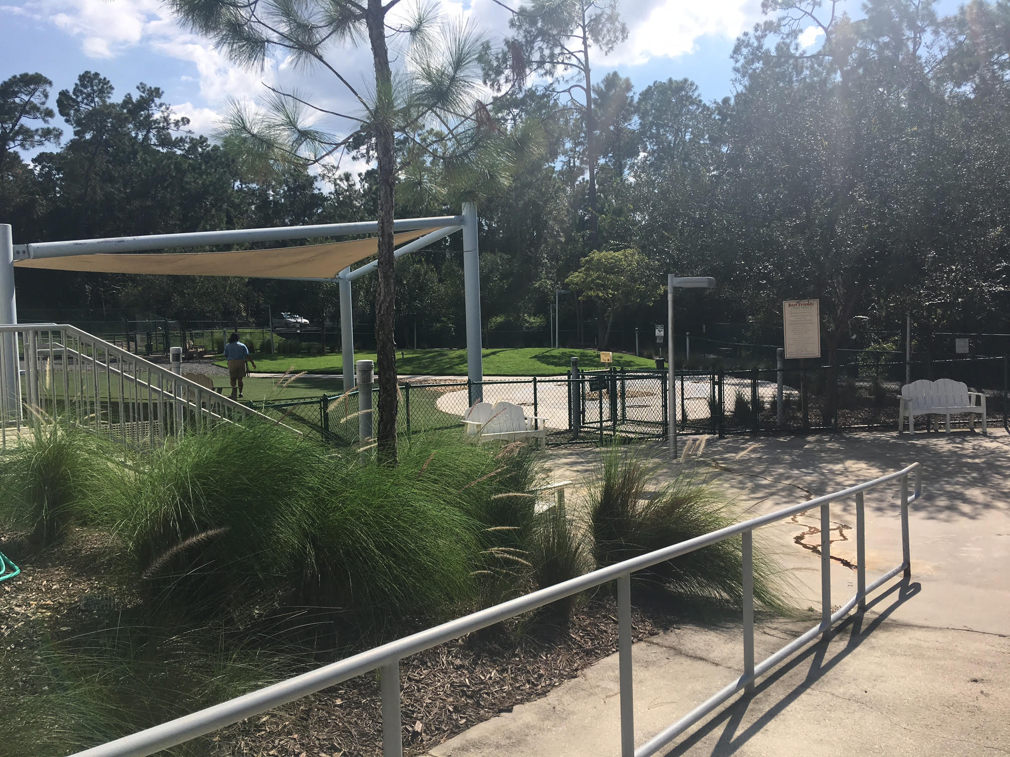 A Doggone Good Primer to Disney’s DogFriendly Hotels TouringPlans