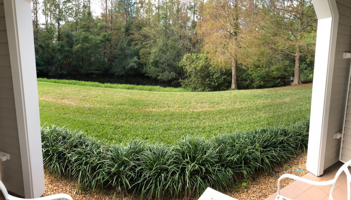 Disney DogFriendly Hotel Review