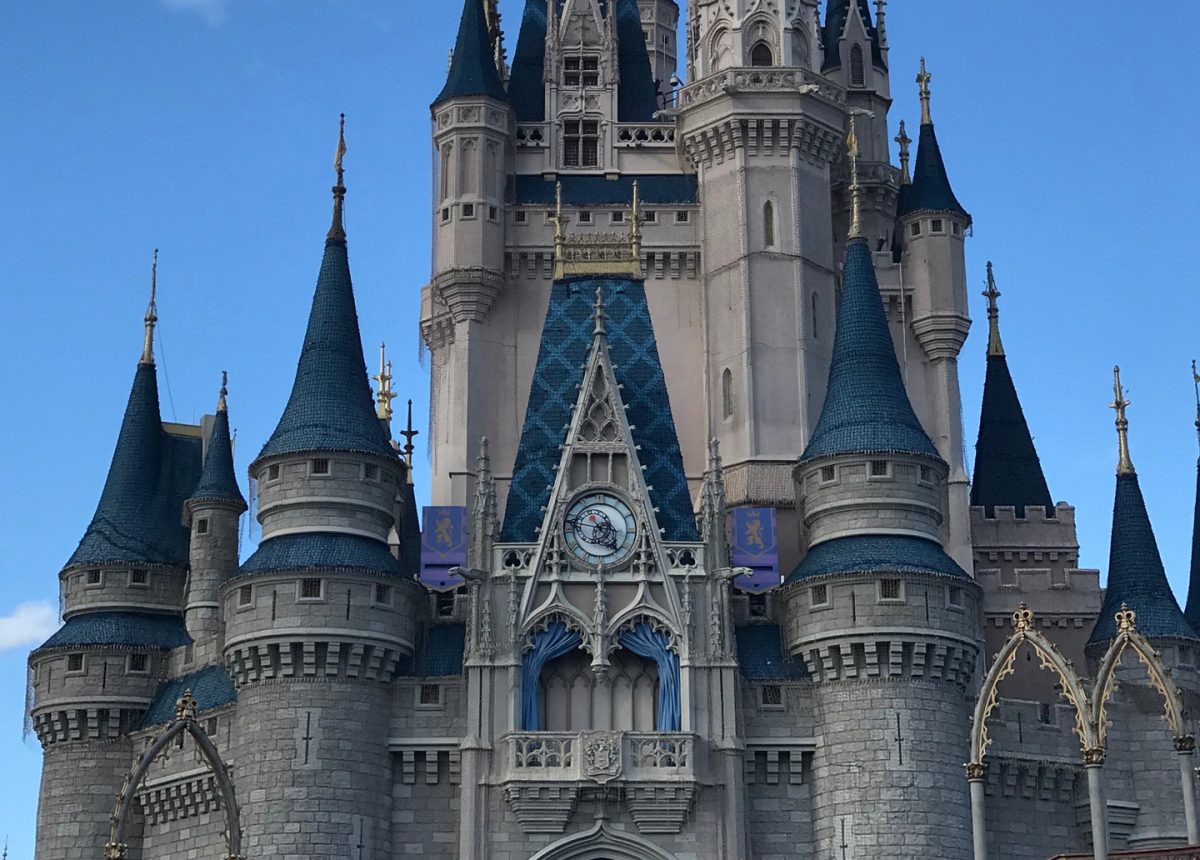Taste of Magic Kingdom Park VIP Tour