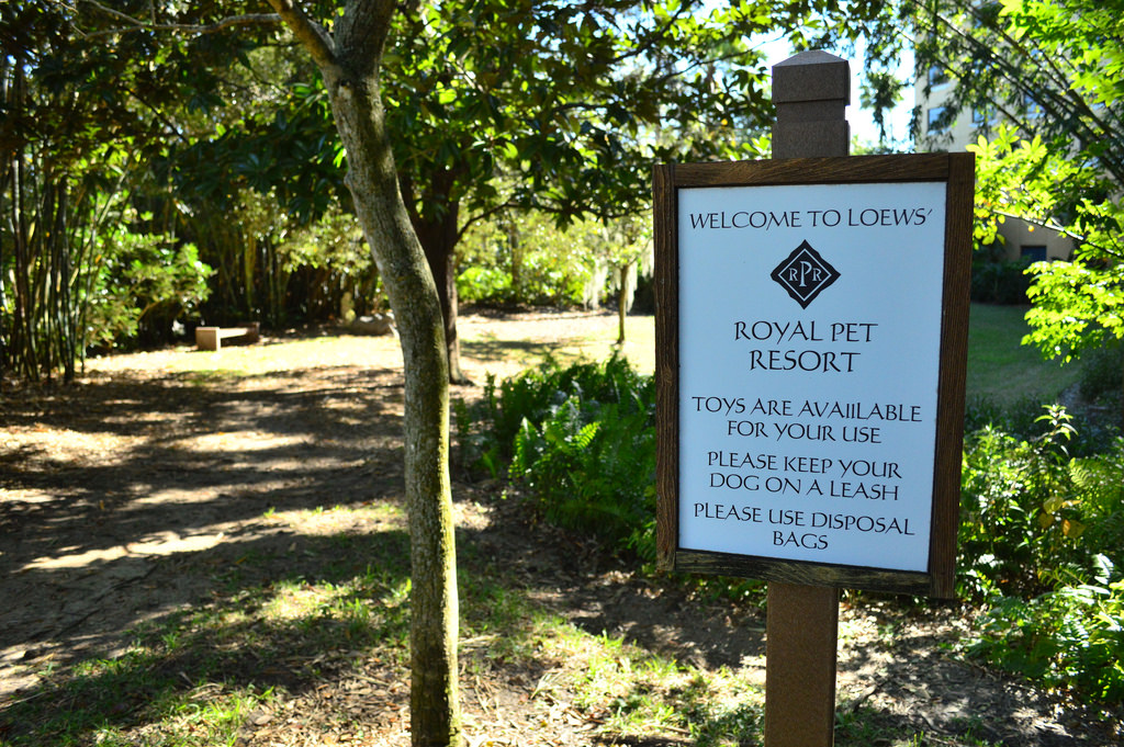 SATURDAY SIX 6 Reasons We Love Universal’s ROYAL PACIFIC RESORT