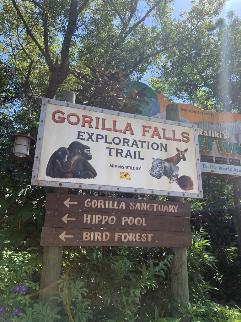 Update on Grace, the Animal Kingdom’s Baby Gorilla | TouringPlans.com Blog