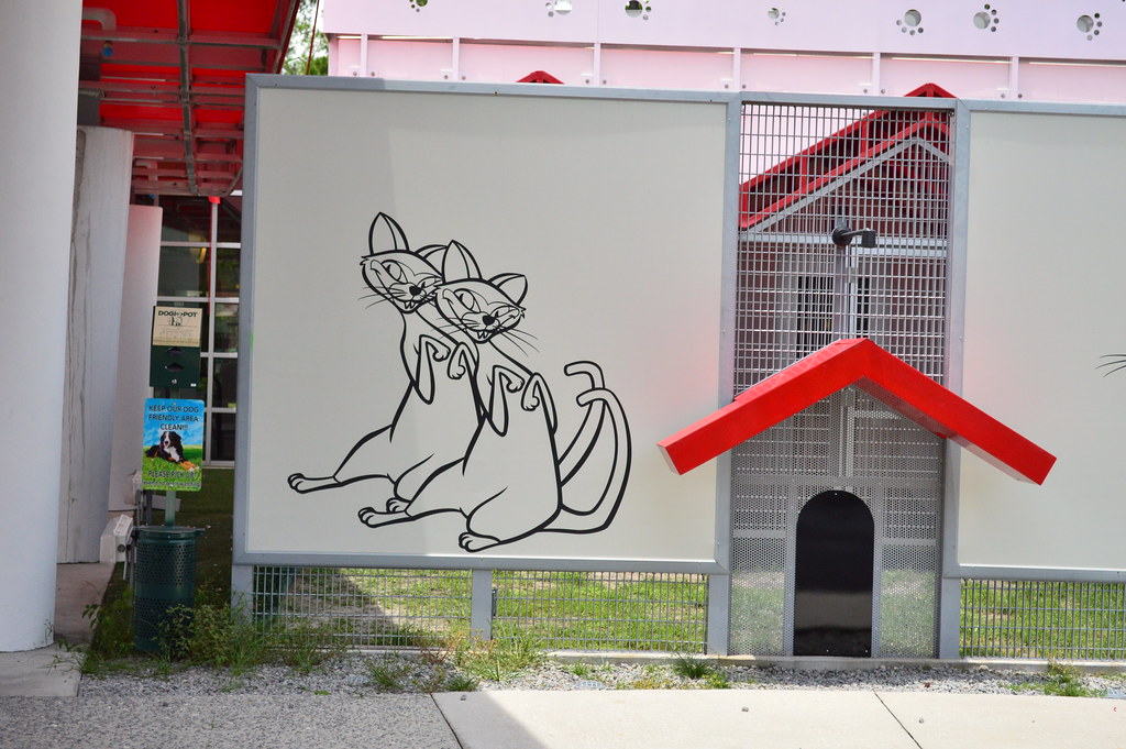 The SATURDAY SIX Looks at Taking Your Dog to BEST FRIENDS PET HOTEL at