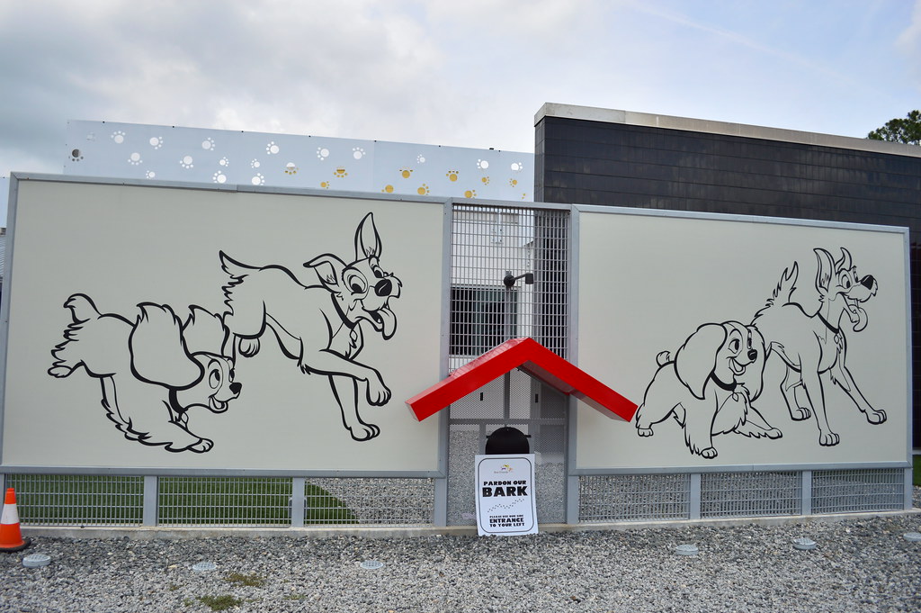 The SATURDAY SIX Looks at Taking Your Dog to BEST FRIENDS PET HOTEL at