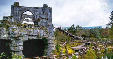 Hagrid’s Magical Creature Motorbike Adventure to Drop Express