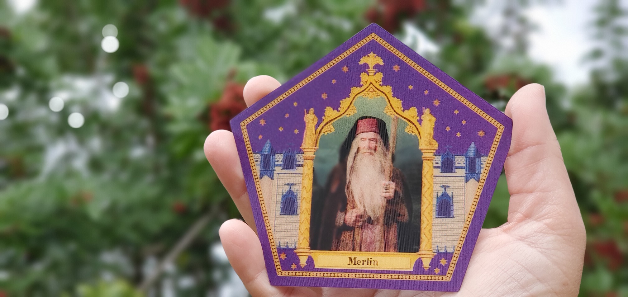 The SATURDAY SIX Explores the Magic Behind Chocolate Frogs at the