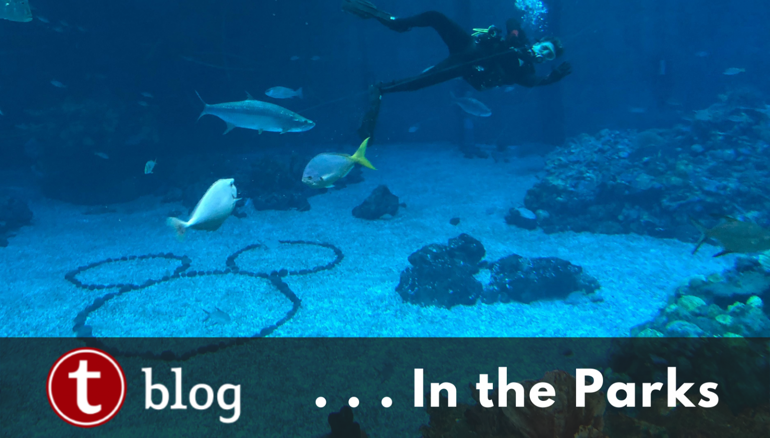 EPCOT’s Extended Evening Hours A “Deluxe” Perk Blog