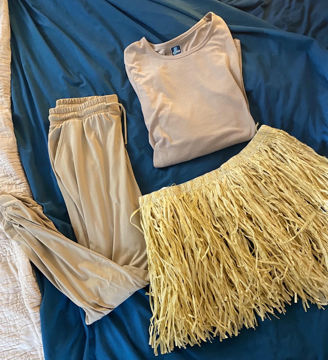 The Broom Costume Blog