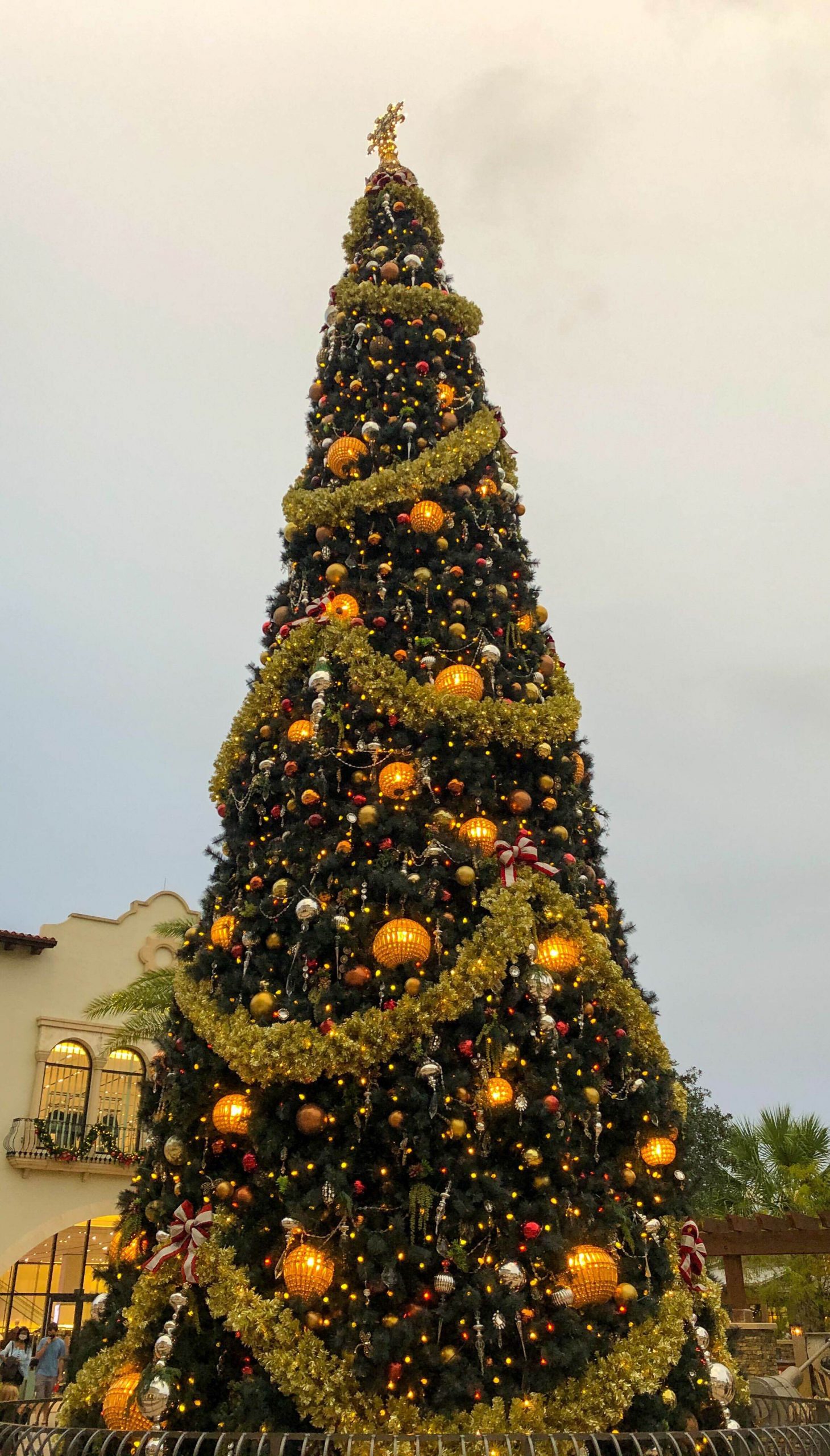 Christmas Tree Stroll Proof that Some Things ARE Better in 2020