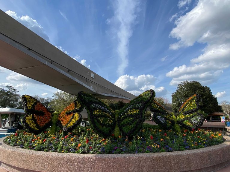Butterfly Topiaries for EPCOT Flower and Garden February 10, 2021 2