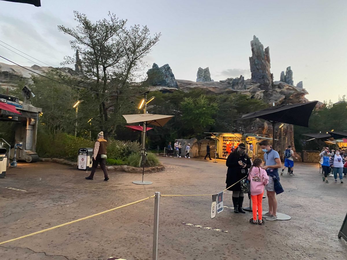 Rider Switch at Disney World Guide and FAQ Blog