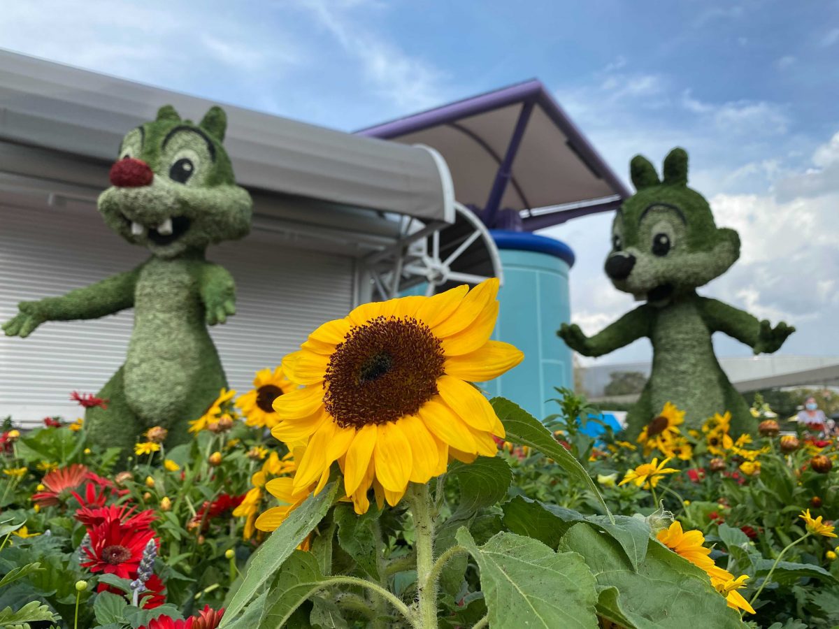 Chip and Dale Topiaries in Future World at 2021 Epcot Flower and Garden