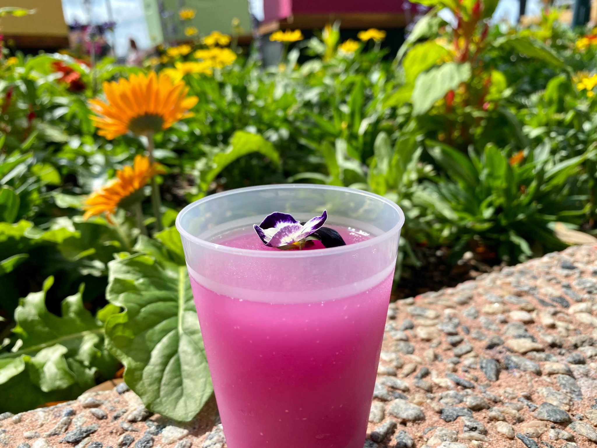 Flower and Garden 2021 Food Booths Reviewed (Part 1)