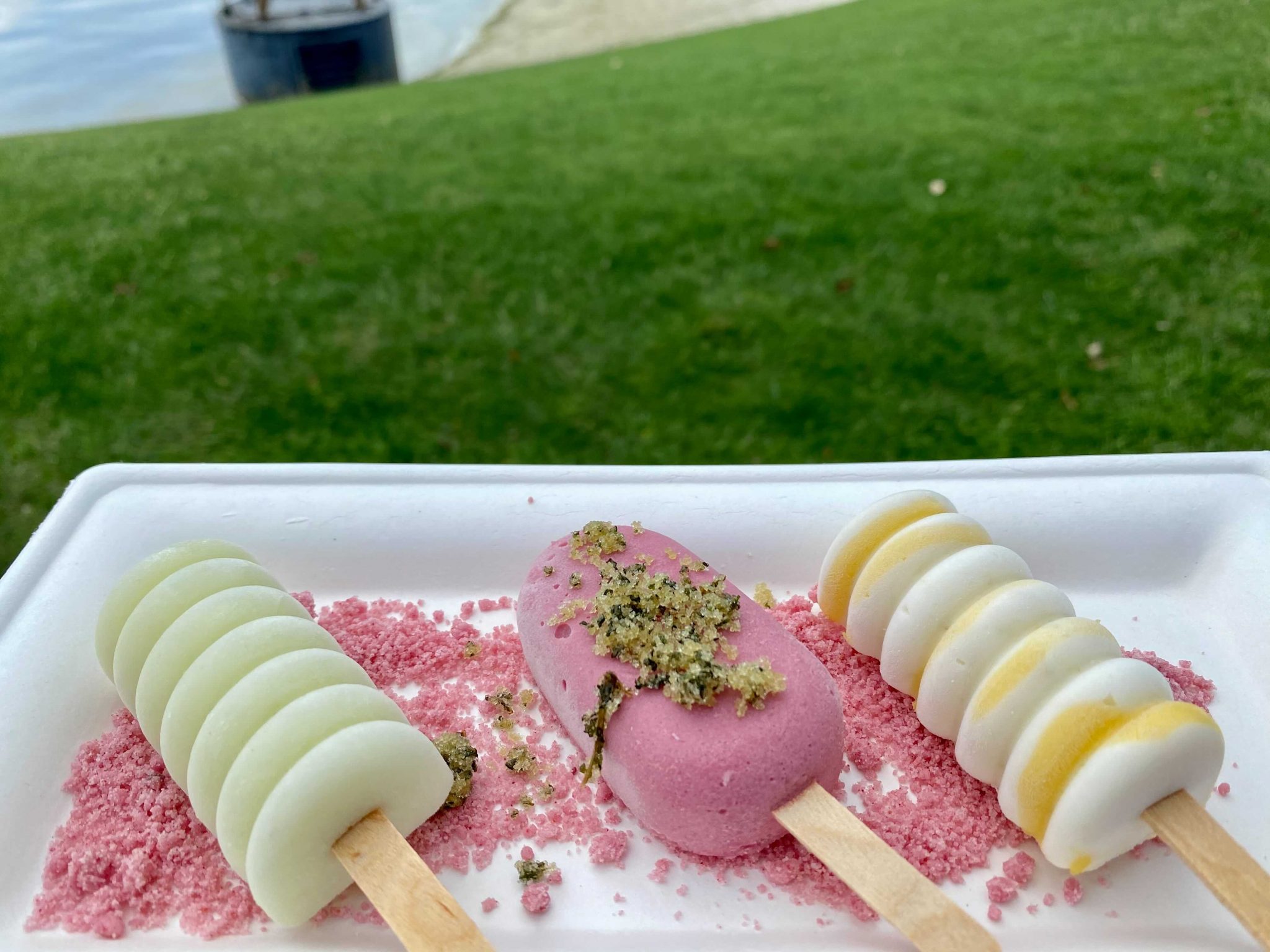 Flower and Garden 2021 Food Booths Reviewed (Part 1)