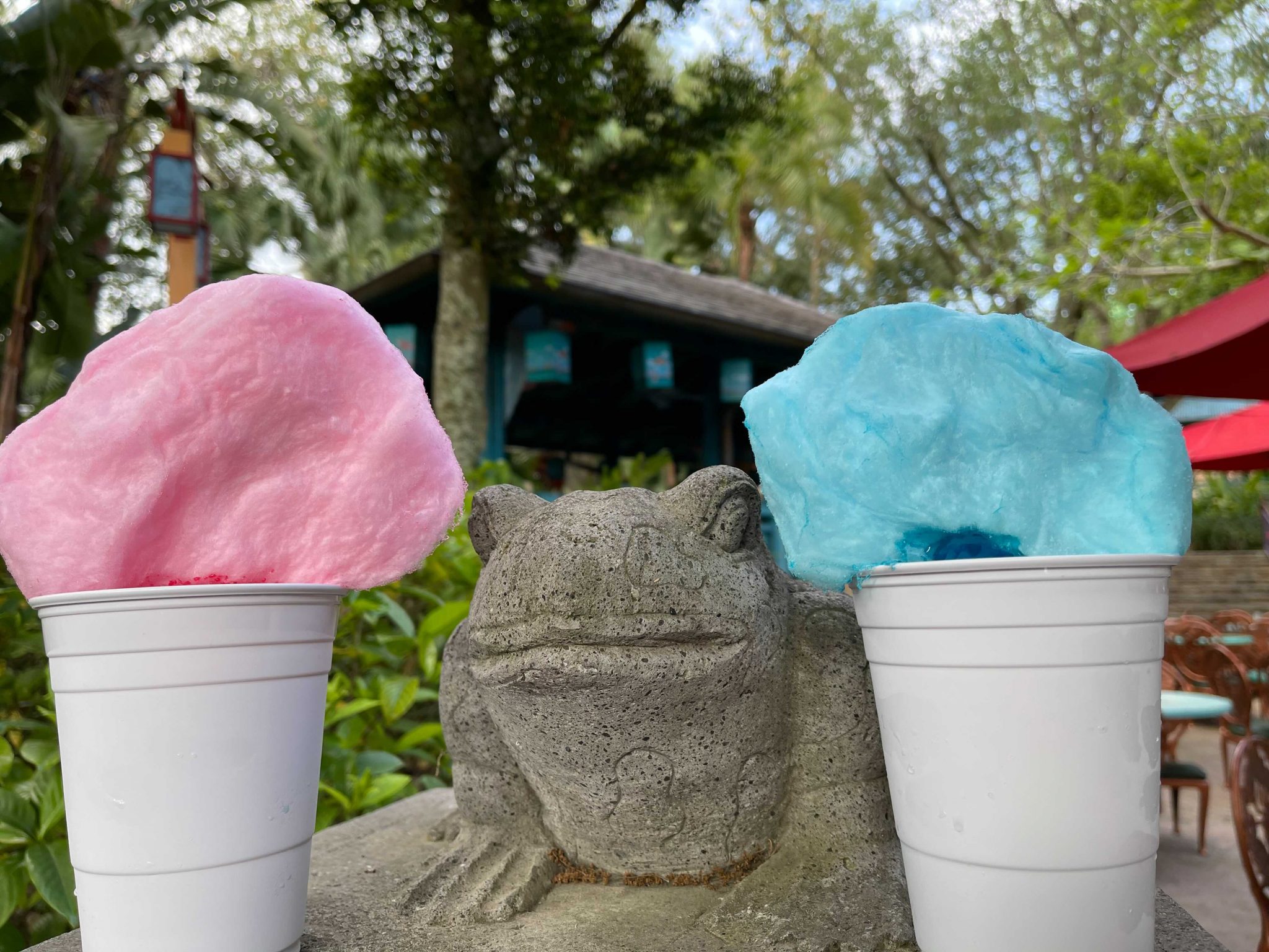 PHOTOS New Specialty Drinks and New Extended Queue Procedures at