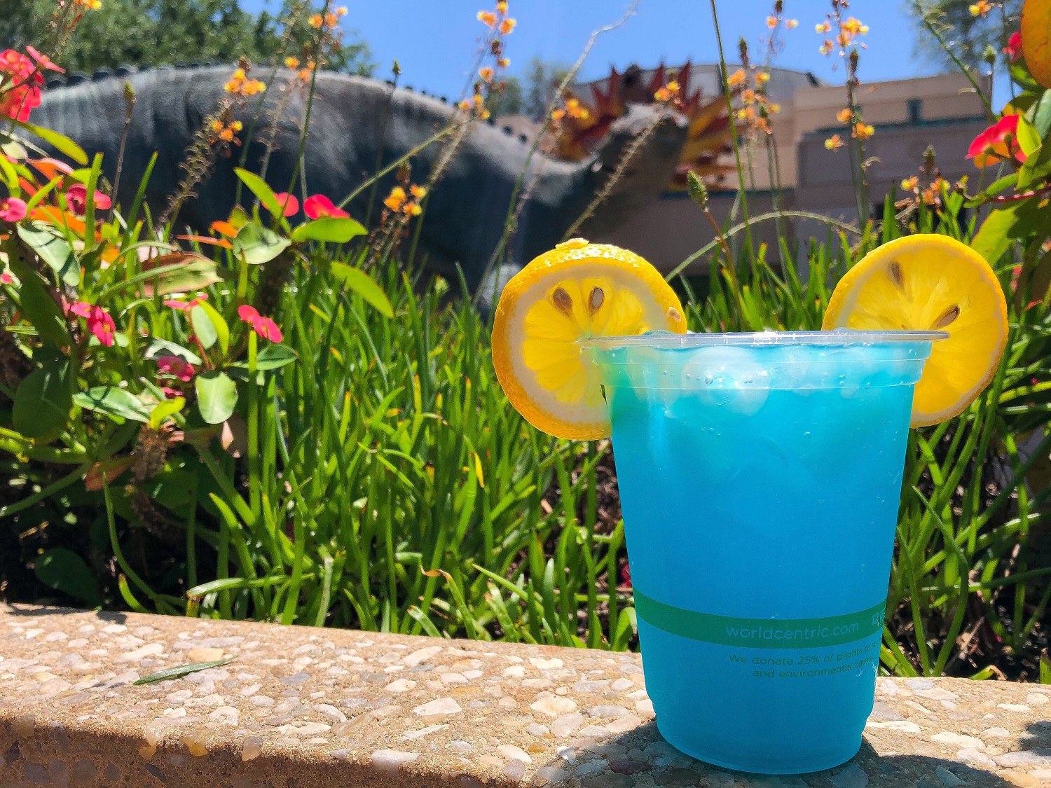 REVIEW The Hits and Misses of the NEW Specialty Drinks at Disney’s