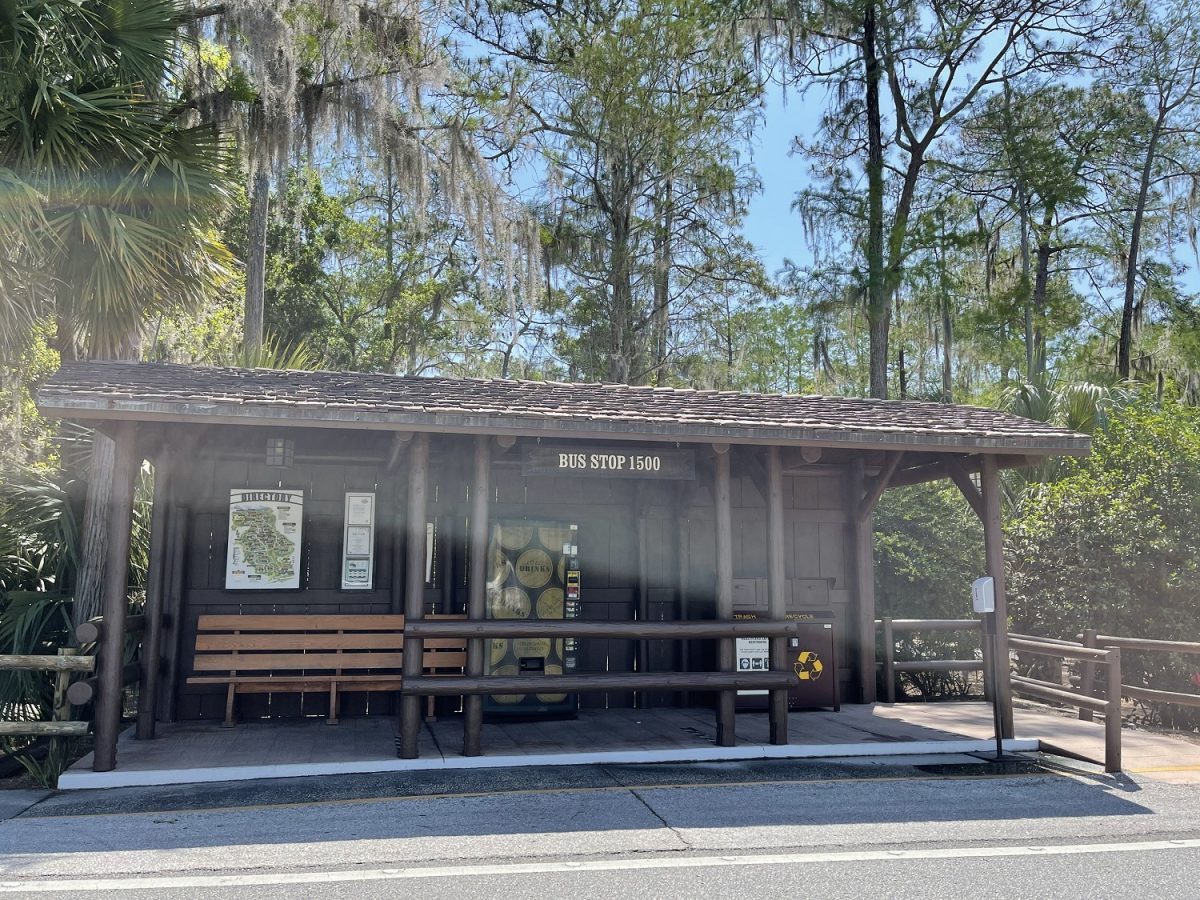 REVIEW Disney’s Fort Wilderness Cabins Are a Blissful Destination All