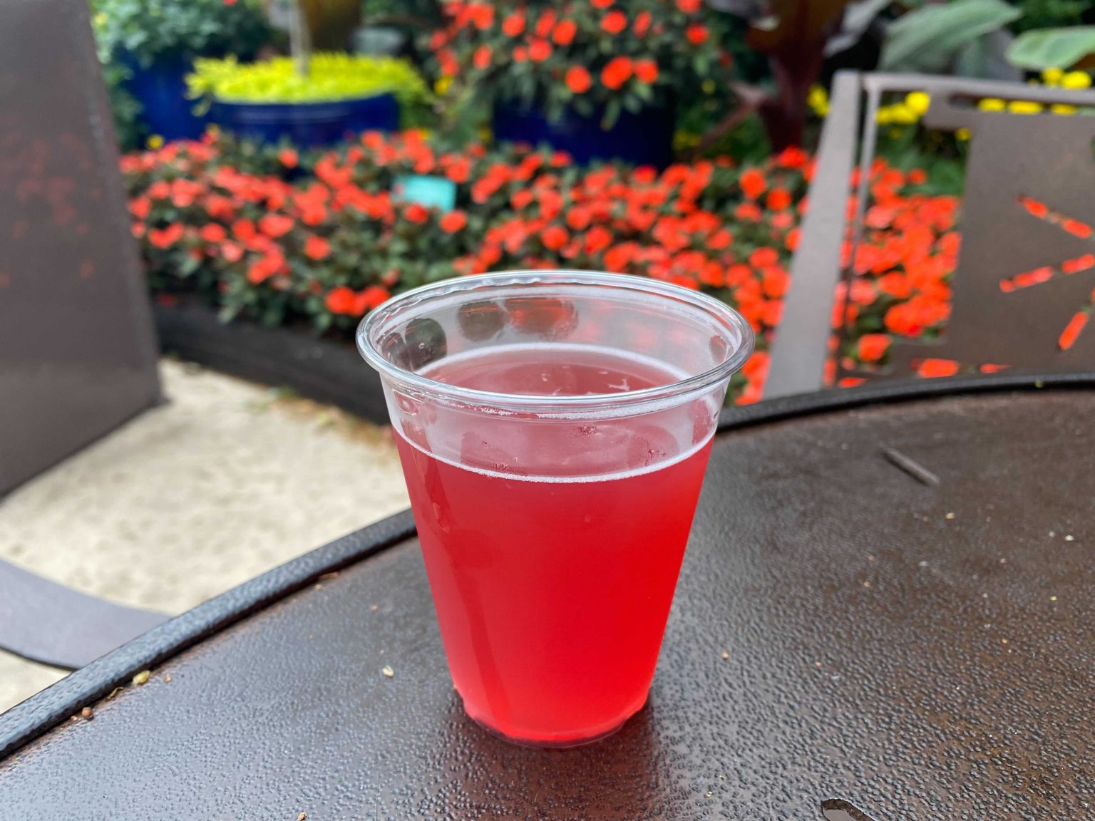 Four Fantastic Fruity Beers and Ciders of the 2021 EPCOT Flower and