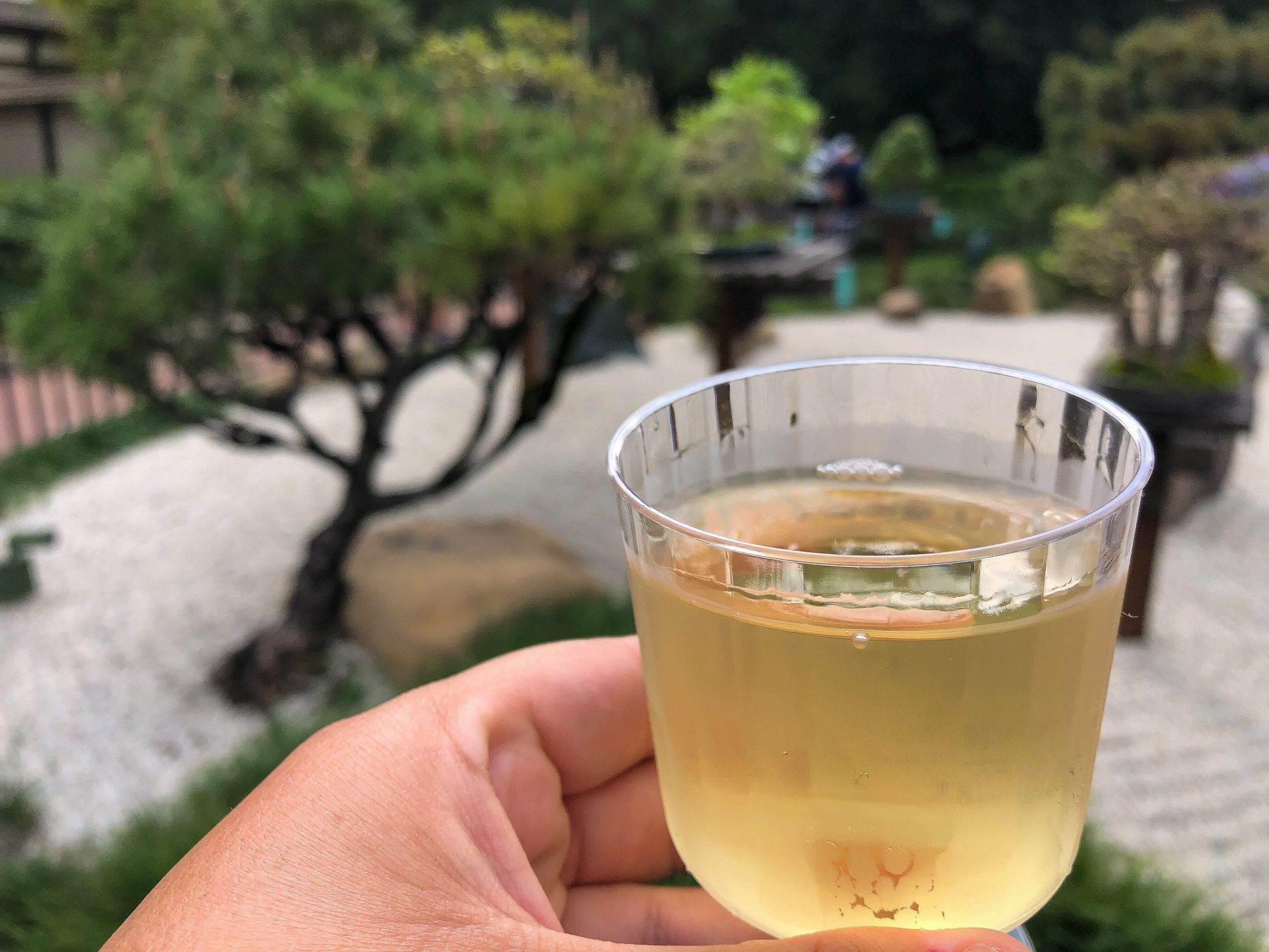 The BEST Cocktails at the 2021 EPCOT Flower and Garden Festival, and