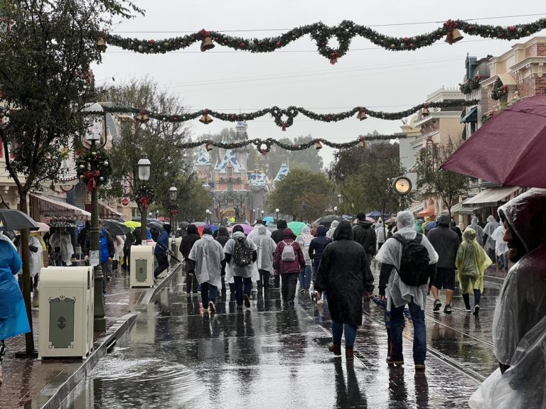 What Rides Are Closed at Disneyland When It Rains? Blog