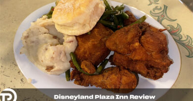 Fried Chicken Paradise, Disneyland Plaza Inn Review