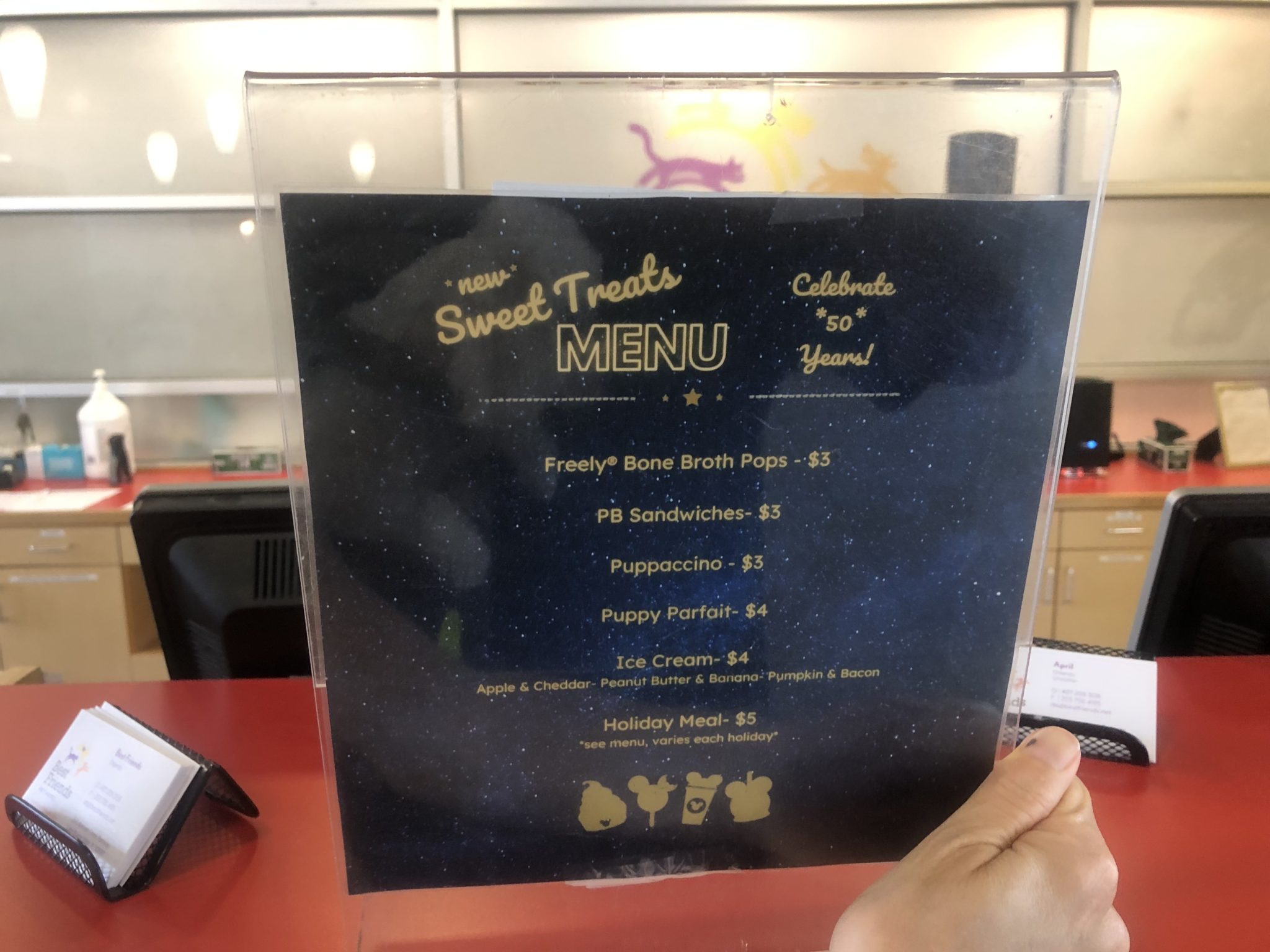 The SATURDAY SIX Looks at Taking Your Dog to BEST FRIENDS PET HOTEL at Walt Disney World