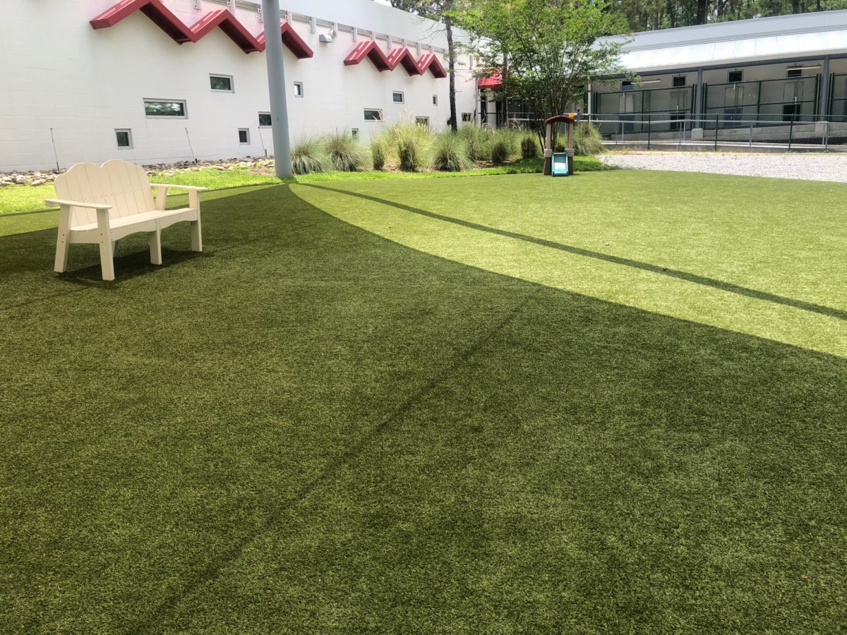 The SATURDAY SIX Looks at Taking Your Dog to BEST FRIENDS PET HOTEL at