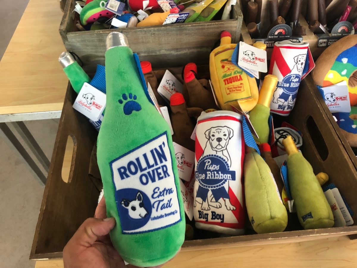 The SATURDAY SIX Looks at Taking Your Dog to BEST FRIENDS PET HOTEL at Walt Disney World