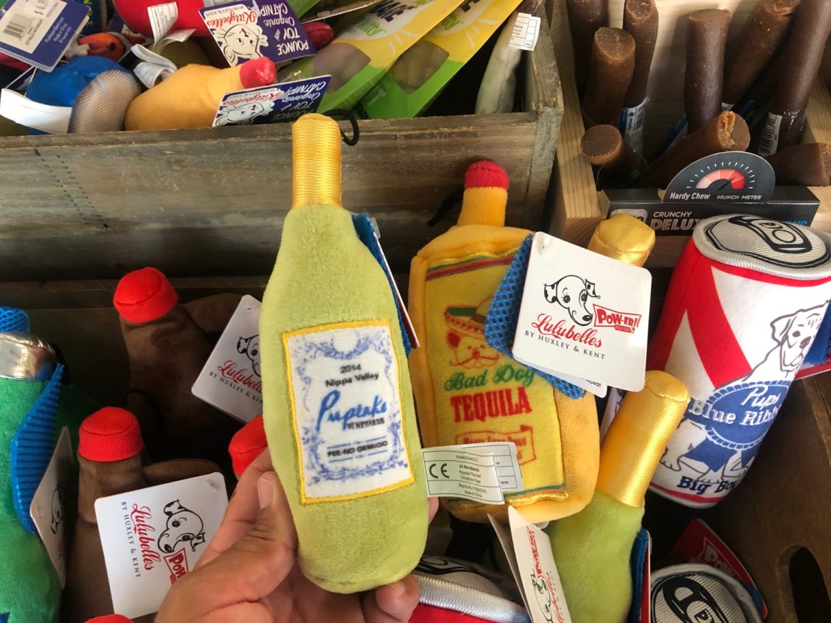 The SATURDAY SIX Looks at Taking Your Dog to BEST FRIENDS PET HOTEL at Walt Disney World