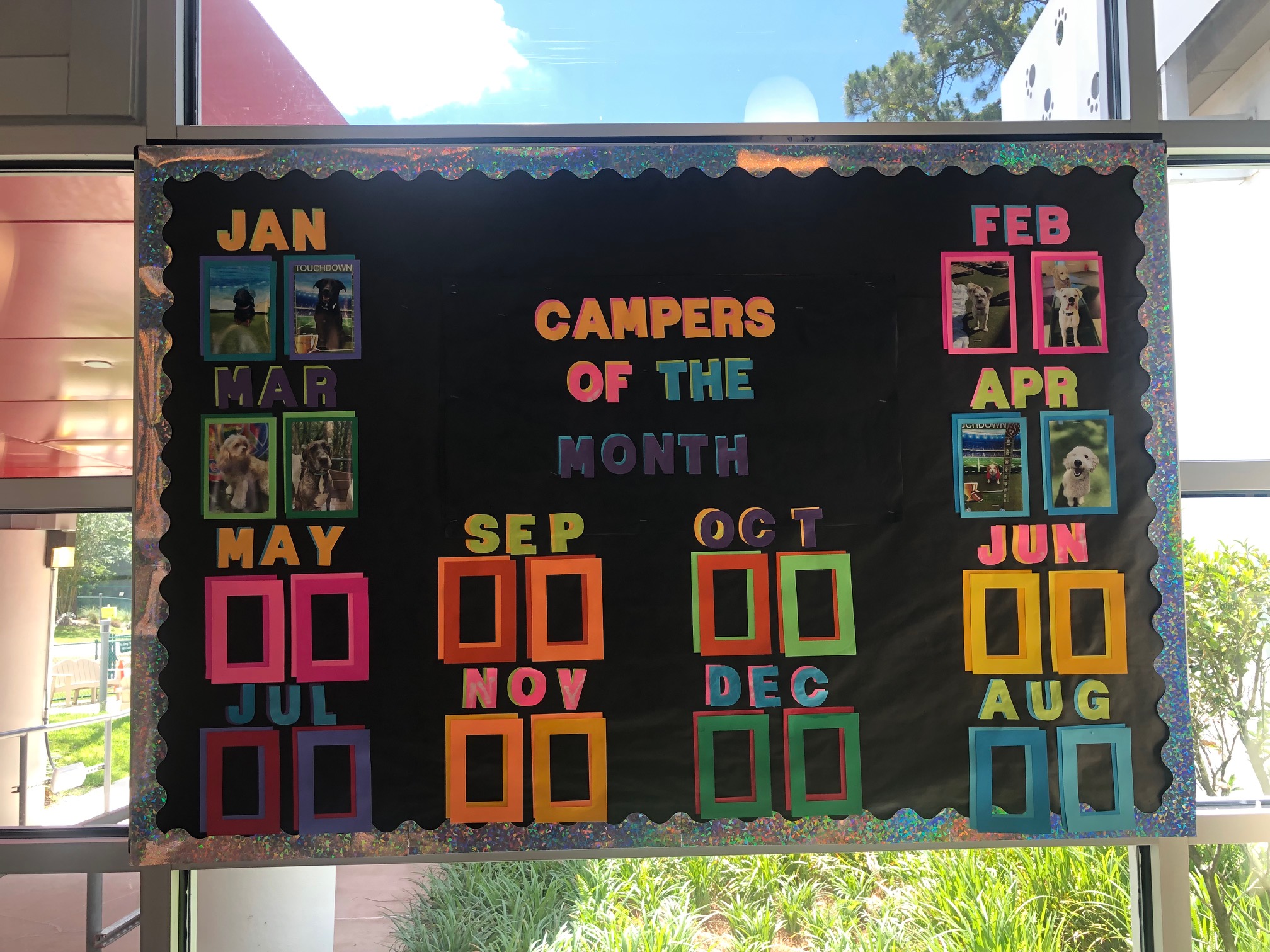 The SATURDAY SIX Looks at Taking Your Dog to BEST FRIENDS PET HOTEL at Walt Disney World