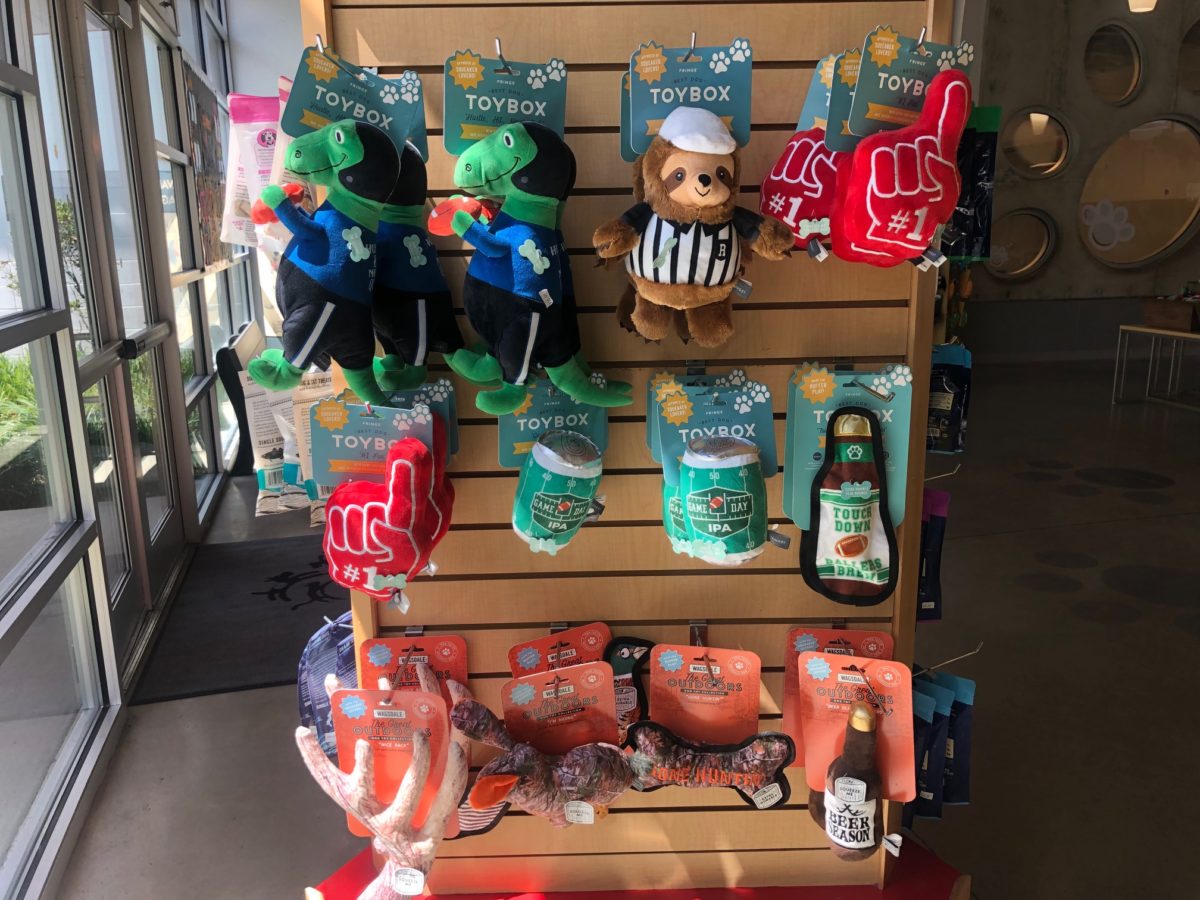 The SATURDAY SIX Looks at Taking Your Dog to BEST FRIENDS PET HOTEL at Walt Disney World