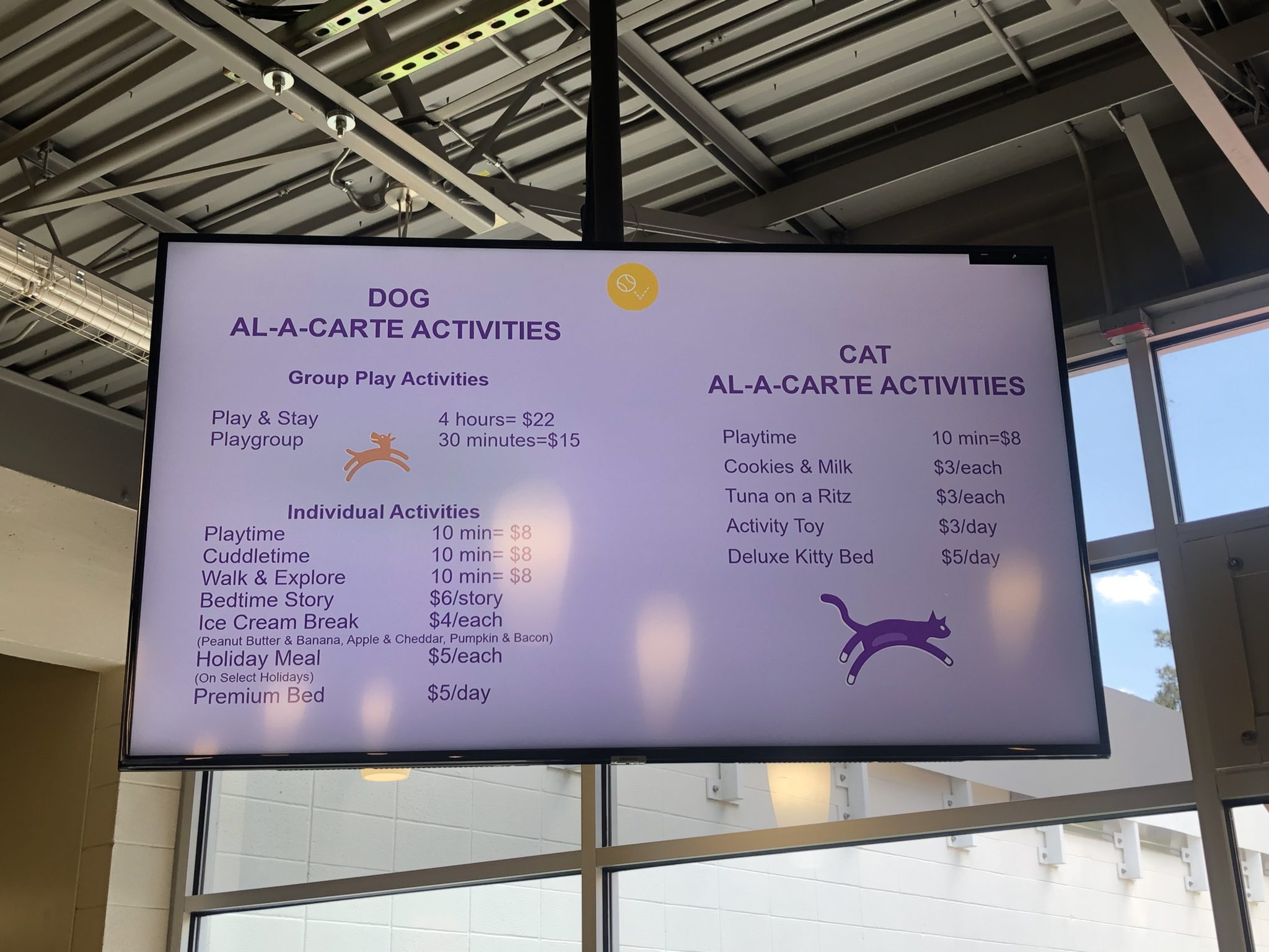 The SATURDAY SIX Looks at Taking Your Dog to BEST FRIENDS PET HOTEL at