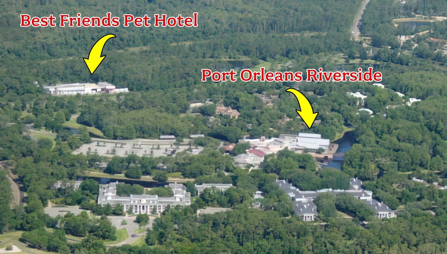 The SATURDAY SIX Looks at Taking Your Dog to BEST FRIENDS PET HOTEL at