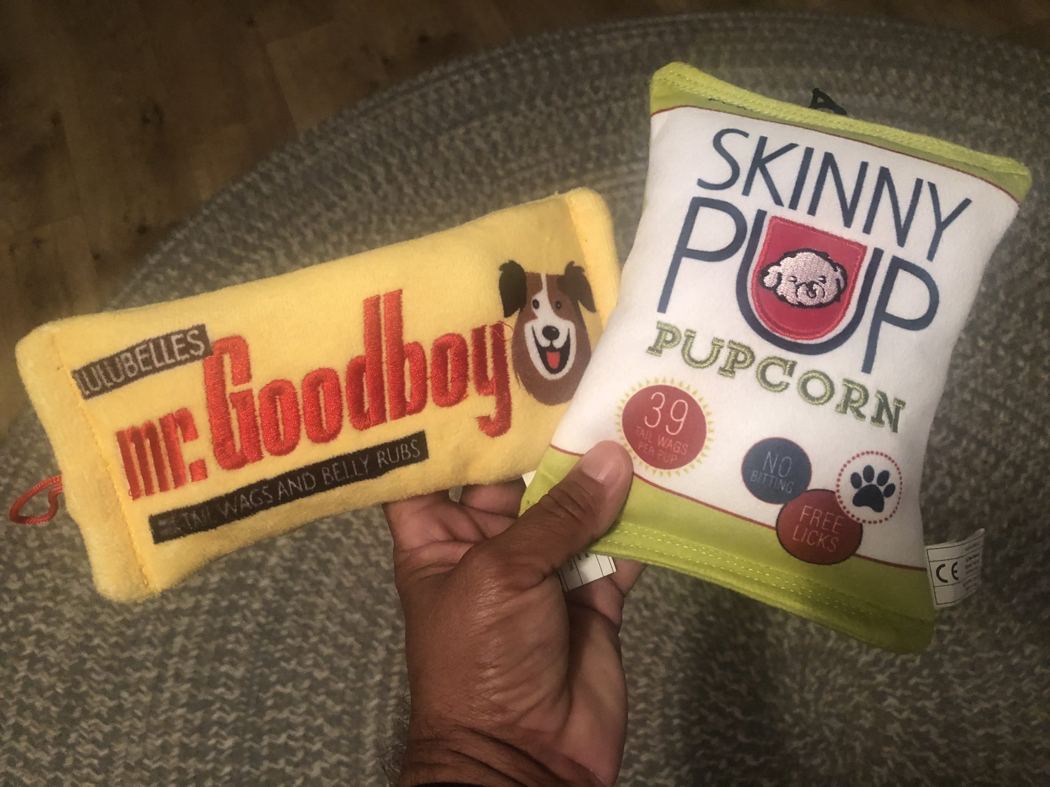 The SATURDAY SIX Looks at Taking Your Dog to BEST FRIENDS PET HOTEL at