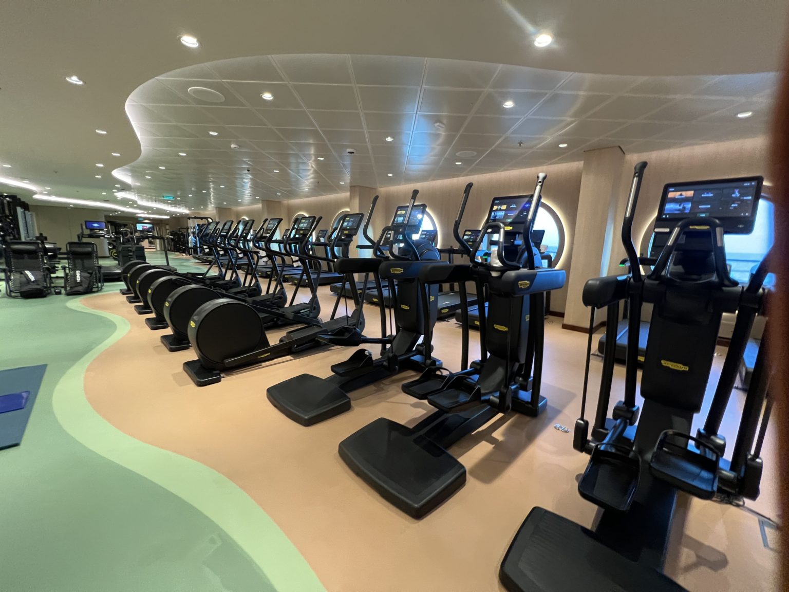 PHOTOS The Fitness Center on the Disney Wish Blog