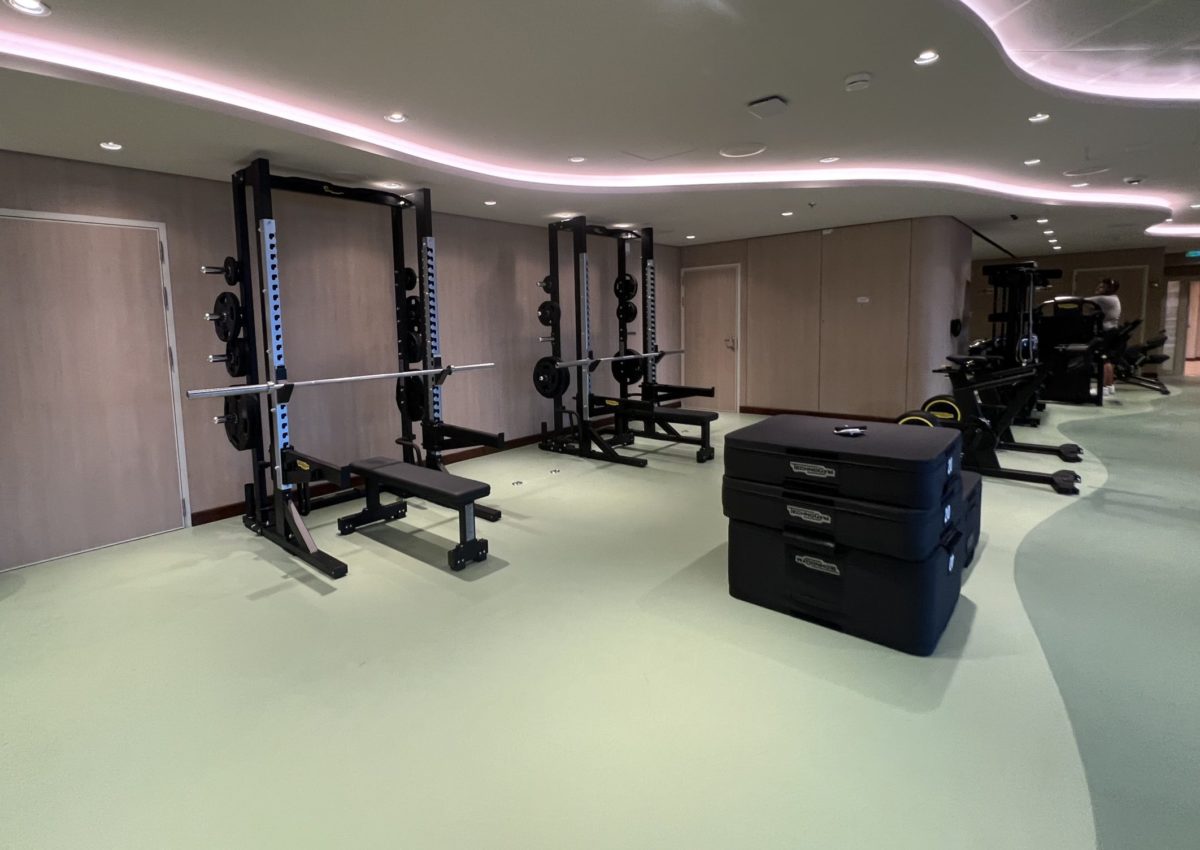 PHOTOS The Fitness Center on the Disney Wish Blog