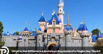 What’s the Difference Between Disneyland’s Magic Key Tiers?