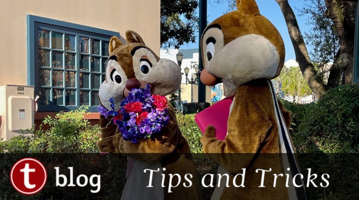 Last-minute romance at Disney World cover showing Chip and Dale examining flowers and holding a book.