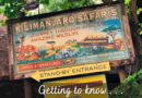 Five Things to Know About Kilimanjaro Safaris