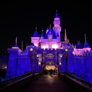 2025 Awards: Best of Disneyland