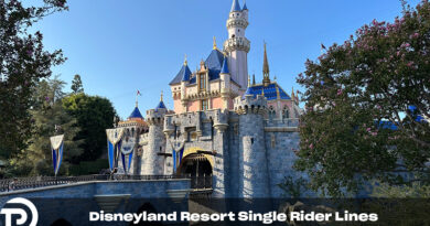 How Do Disneyland Single Rider Lines Work?