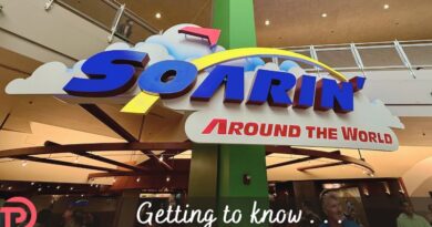 Five Things to Know About Soarin’ Around the World