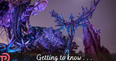 Five Things to Know About Avatar Flight of Passage