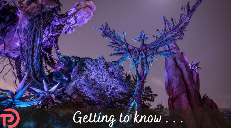 Five Things to Know About Avatar Flight of Passage
