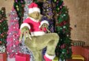 The Grinch & Friends Character Breakfast 2026 Now on Sale The Grinch & Friends Character Breakfast 2026 Now on Sale