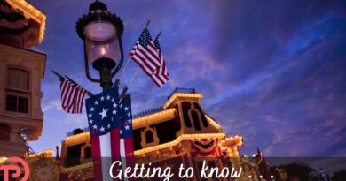 Frequently Asked Questions About the Disney Military Salute for 2026